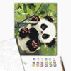 купить Картина по номерам BrushMe RBS51959FC 30x40сm (fără cutie) Panda jucăușă в Кишинёве 