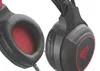 cumpără Căști pentru gaming Genesis NSG-1578/Radon 300 în Chișinău 