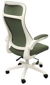 cumpără Fotoliu de birou Deco Luis Green în Chișinău 