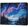 cumpără Tablou pe numere BrushMe MG0030FC 40х50cm (fără cutie) Noapte înstelată în Chișinău 