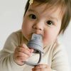 купить Посуда для кормления BIBS 4350303 Nibler Fossil Grey в Кишинёве 