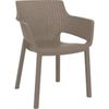 купить Стул Keter Eva Chair Cappuccino (247232) в Кишинёве 