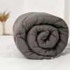 cumpără Set de perne si plapume Relaxe Home Plapuma RH Alaska 450 g/m2 microfiber 200x220cm (Grey/White) în Chișinău 