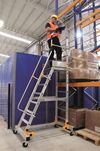 купить Лестница Cagsan EP5 Мобильная лестничная платформа, H=3.3m в Кишинёве 