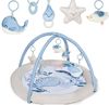 купить Коврик игровой KinderKraft KPCOZY00NOR0000 Cozyplay в Кишинёве 