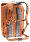 купить Рюкзак спортивный Deuter StepOut 22 chestnut-ivy в Кишинёве 