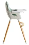 cumpără Scaun de masă BabyGo BGO-5452 transformabil Scandi Green în Chișinău 