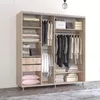 cumpără Dulap Mobildor-Lux Aron cu uși glisante cu oglindă zebra (200x60x210H cm) Sonoma în Chișinău 