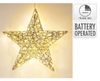 купить Световая фигура Promstore 40289 Figurina luminoasa Stea 30LED 40cm, 2xAA timer, aurie в Кишинёве 