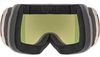 купить Защитные очки Uvex DOWNHILL 2100 WE GLAMOUR ROS.CHR.SL/RO-GR в Кишинёве 