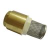 купить Фильтр бронзовый с обратным клапаном D. 4" PN6 для насоса 1400400  ITAP в Кишинёве 