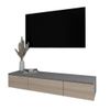купить Тумба напольная для TV Smartex (16559) Т10 100 TV-Навесная Grafit+Stejar Deschis в Кишинёве 