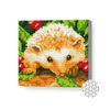 купить Картина по номерам Art Gallery BJ616 Mozaic cu diamante 20x20cm Ariciul printre mure в Кишинёве 