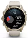 купить Смарт часы Garmin Fenix 8 – 43 mm, Sapphire, Soft Gold with Fog Gray (010-02903-11) в Кишинёве 