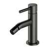 cumpără Baterie pentru bideu Omnires Baterie Y (Bideu) Brushed Graphite Y1220GR în Chișinău 