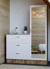 купить Комод Trendy CC6-AW 60x140x47cm, multifunctionala (GTR006711) в Кишинёве 