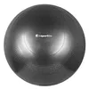 купить Мяч inSPORTline SL-00013784 Minge gimnastica cu pompa d=55cm Stretch Ball Black (29176-1) в Кишинёве 