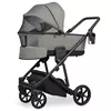 купить Детская коляска Riko Carucior 2in1 Mila 01 khaki в Кишинёве 