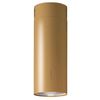cumpără Hotă Falmec POLAR EVO WALL 35 EU Gold (w/o filter pack) în Chișinău 