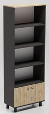купить Офисный шкаф Smartex Maxi Чёрный/Дуб Тёмный в Кишинёве 