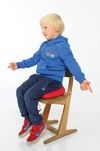 cumpără Echipament pentru echilibru Togu SL-00014002 Perna masaj balans (200kg) Dynair Wedge Ballkissen Kids 400144 blue în Chișinău 