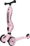 купить Самокат Scoot&Ride 96270 Highway 2in1 Kick 1 Rose в Кишинёве 