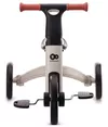 cumpără Bicicletă KinderKraft 4TRIKE KR4TRI22GRY0000 silver în Chișinău 