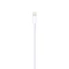 Original Apple Lightning to USB Cable (1 m), Model A1480, White 