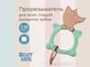 cumpără Iinel dentiție Roxy Kids RBT20033 FOX, оливковый în Chișinău 