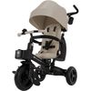 купить Велосипед-коляска KinderKraft KRAVEO02BEG0000 Aveo 2 Plus Beige в Кишинёве 