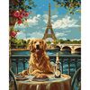 cumpără Tablou pe numere Ideyka (KHO6627) A retriever in Paris, 40х50 în Chișinău 
