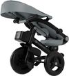 купить Велосипед-коляска KinderKraft KRAVEO02GRY0000 Aveo 2 Plus Grey в Кишинёве 