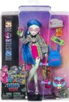 cumpără Păpușă Mattel HHK58 Monster High în Chișinău 