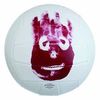 купить Мяч Wilson 449 Minge volei Castaway WTH4615XDEF в Кишинёве 