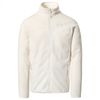 купить Куртка TheNorthFace M 100 GLACIER FZ GARDENIA WHITE, NF0A5IHQN3N1 в Кишинёве 