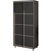 cumpără Dulap my-STYLE C10H0T01AM02-U11, 100x200, антрацит în Chișinău 
