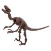 купить Набор для творчества 4M 00-13234 Velociraptor Skeleton в Кишинёве 