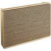 купить Колонка портативная Bluetooth Bang & Olufsen Beosound Level Gold Tone Alu в Кишинёве 