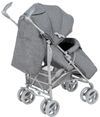 купить Детская коляска Lionelo Irma Grey/Dark Grey в Кишинёве 