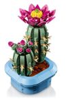 cumpără Set de construcție Lego 11509 Flowering Cactus în Chișinău 