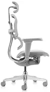 cumpără Fotoliu de birou ART Ergohuman Ultra Natural T-168-B2 EHU-AG-HAM-4D în Chișinău 