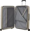 купить Чемодан Samsonite Flytwist 78/29 TSA Exp Sandstone (155267/2038) в Кишинёве 