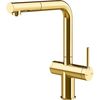 купить Смеситель кухонный Gessi 60572-246 Inedito Gold PVD в Кишинёве 