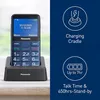 купить Телефон мобильный Panasonic KX-TU155EXCN в Кишинёве 