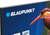 cumpără Televizor Blaupunkt 32FBC5000 în Chișinău 