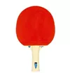 cumpără Articol de tenis Tibhar SL-00014429 Paleta tenis de masa 1 Samsonov Fun 03010 în Chișinău 