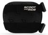 cumpără Echipament de protecție Scoot&Ride 00016 Rose (protecție pentru genunchi), XXS în Chișinău 