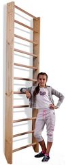 cumpără Spalier gimnastică PlayPark 2510 Spalier Gimnastic SG-100 în Chișinău 