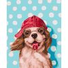 купить Картина по номерам BrushMe BS53618 40x50 cm (în cutie) Câine cu acadea в Кишинёве 