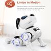 купить Радиоуправляемая игрушка JJR/C RC Intelligent Robot Dog R19, White в Кишинёве 